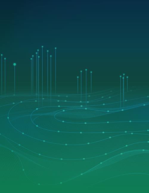 Network Optimization case study